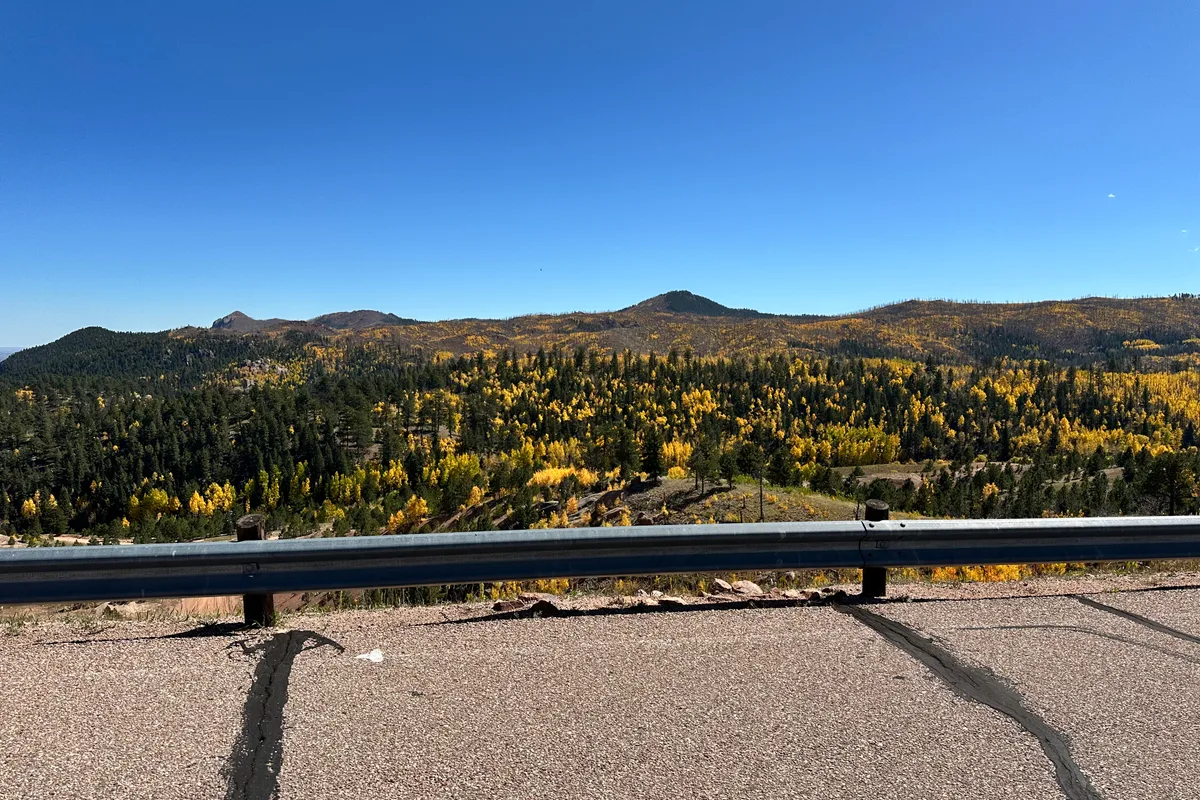 Golden aspen trees near Rampart Reservoir in autumn