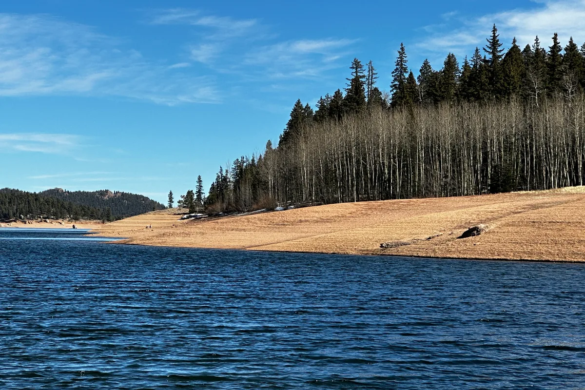 Rampart Reservoir in winter with bare aspen groves